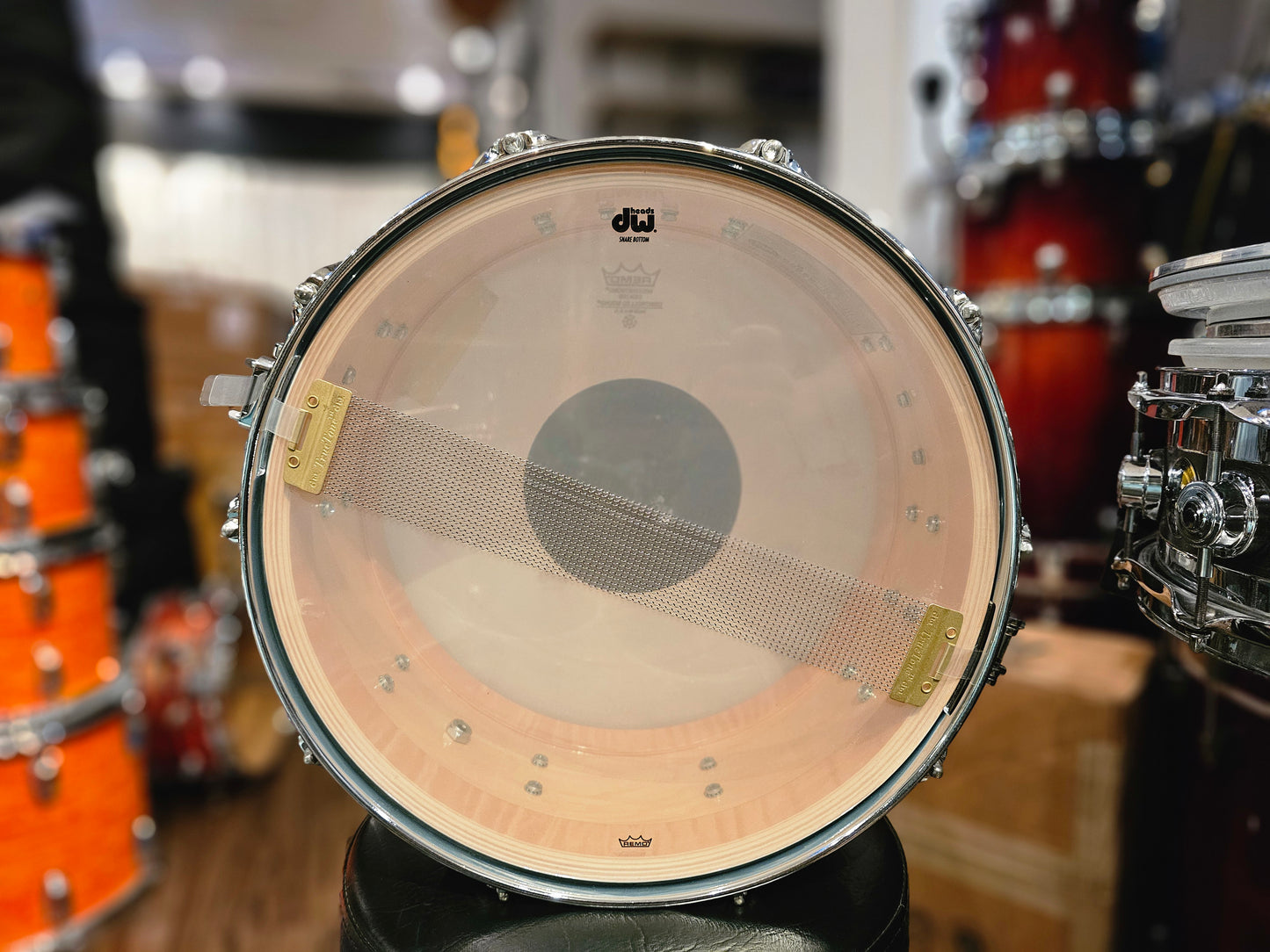 Dw Collectors Maple 10+6 ply Pale blue oyster 14x6.5 snare drum