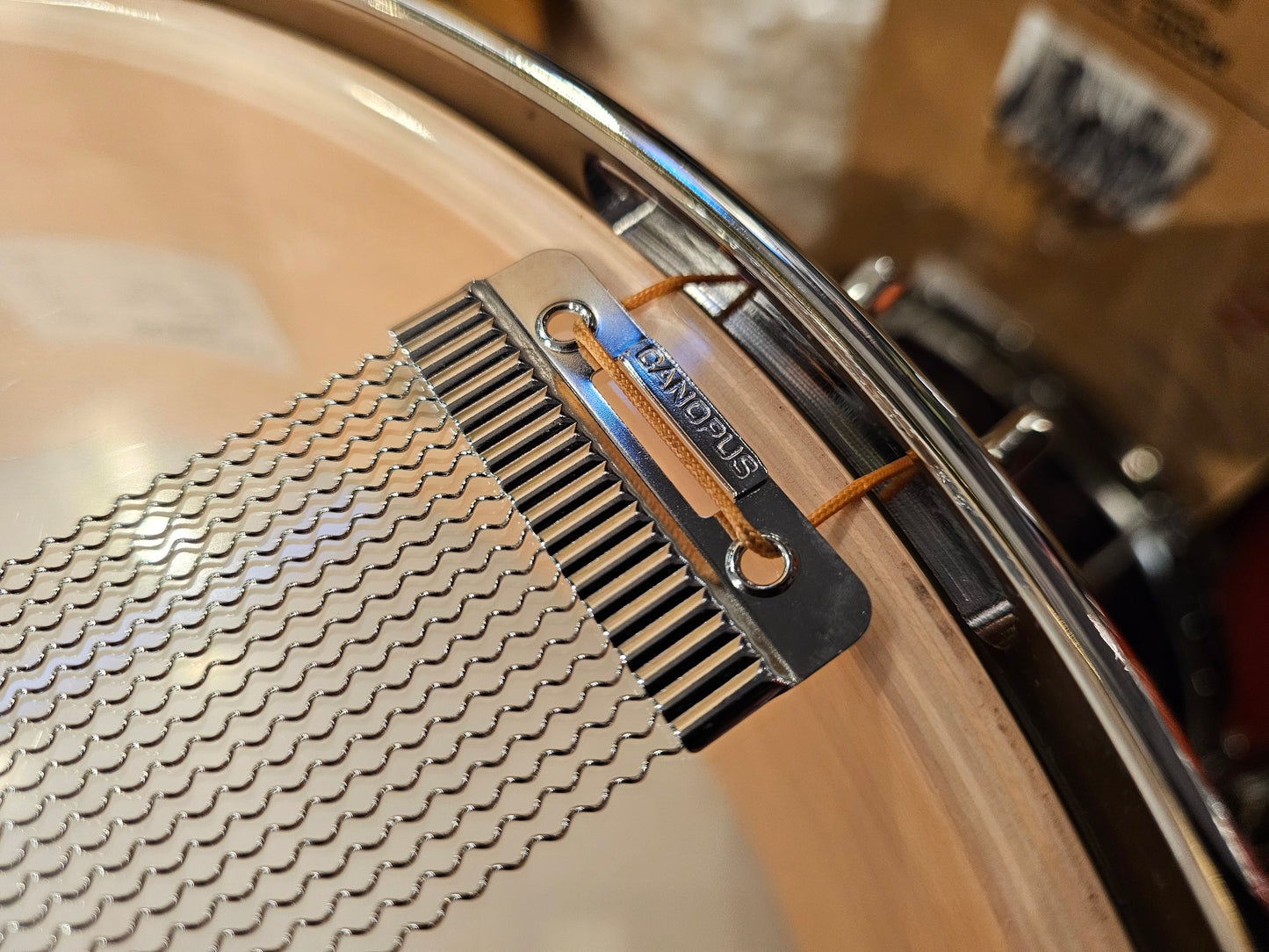 Canopus MO-1455 The Maple 14x5.5 snare drum