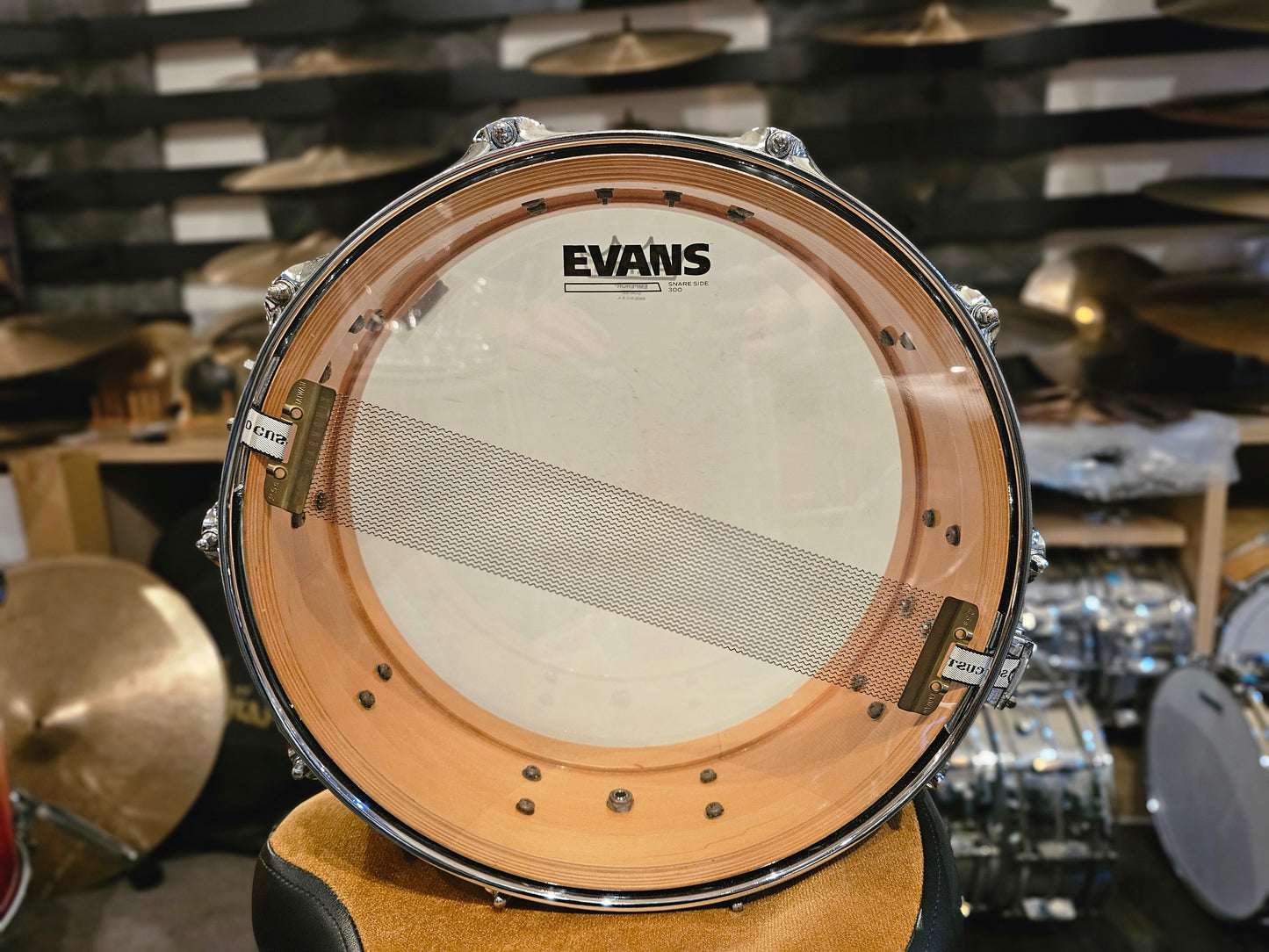 DW Collectors Maple standard 10+6 ply Black oyster finishply 14x5 snare drum