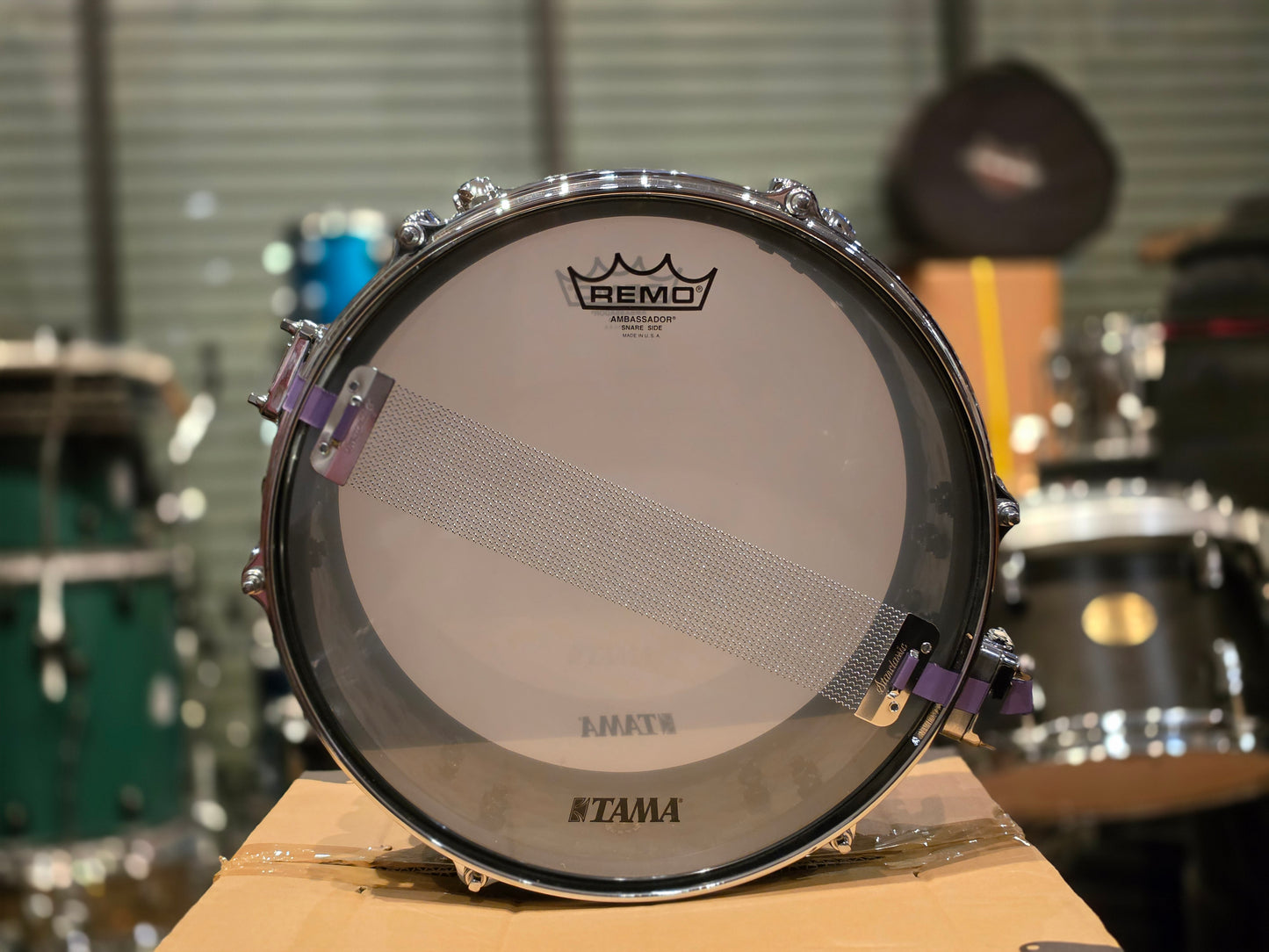 Tama MP125ST Mike Portnoy signature 12x5.5 snare drum